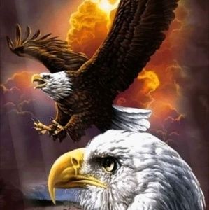 Meet your Posher, Ed